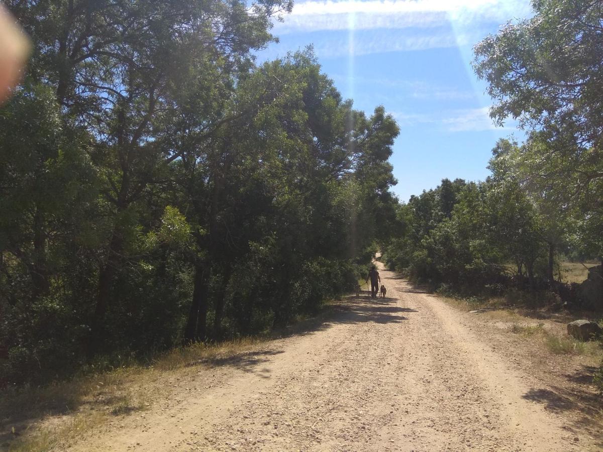 Acogedora Casa Rural En La Sierra De Madrid Матаэльпино Экстерьер фото