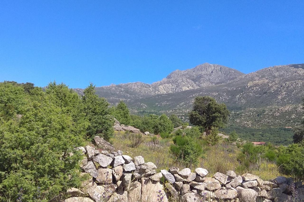 Acogedora Casa Rural En La Sierra De Madrid Матаэльпино Экстерьер фото